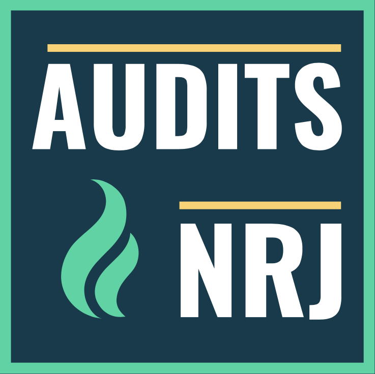 Logo Audits-NRJ